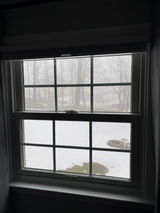 NJ Guy review photo
