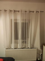 Debra Zannini review photo