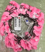 Shreenisha review photo
