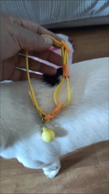 sandy review photo