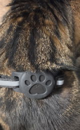 ben review photo