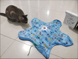 MikeT review photo