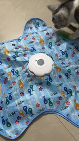 IndoorCatLife review photo