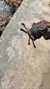Mark Steves review photo