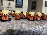 Kalina review photo