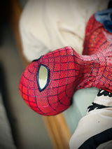 spider_scene review photo