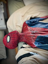 spider_scene review photo