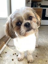 Amazon Customer review photo