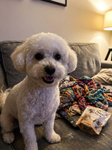 Gollie review photo