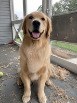 April review photo