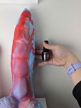 EvelynNyte review photo