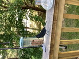 Linwood review photo