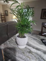 Malika review photo