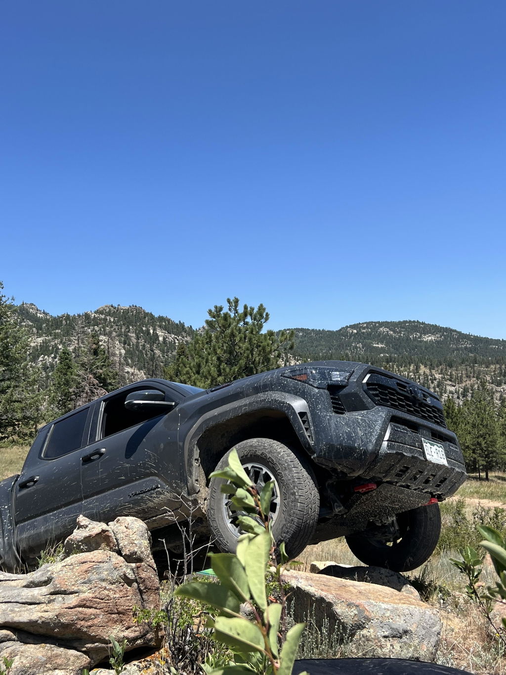 Customer review photo from Dan Leonard