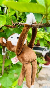 Tiny Steps Wild Path review photo