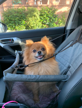 Max review photo