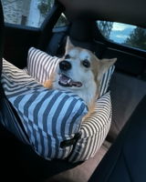DIDI review photo