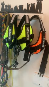 Josje review photo