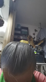 *** review photo