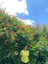 satyashree review photo