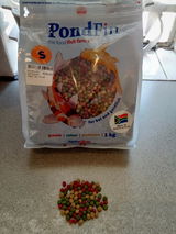 Errol W. review photo