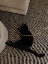 Gabby review photo