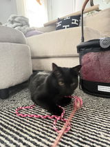 Gabby review photo
