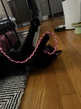 Gabby review photo