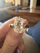 Tracey Australia review photo
