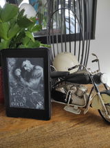 Lili Matoline (Mes livres, mon plaisir) review photo