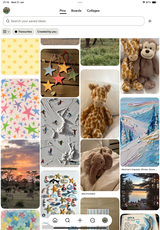 Isla Curtin review photo