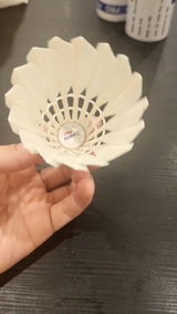 Lin review photo