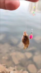 Daniela Rutherford review photo
