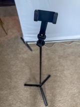 Cressida D. review photo