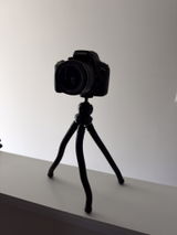 Charley V review photo
