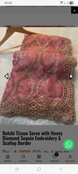Debaleena review photo