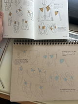 Tina Back review photo