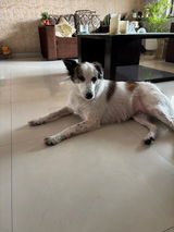 Preeti review photo