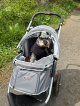 Shirley M. review photo