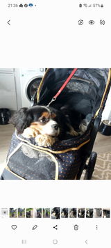Rhona D. review photo