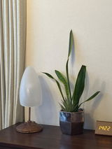 純子 review photo
