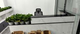 Basil Yale review photo