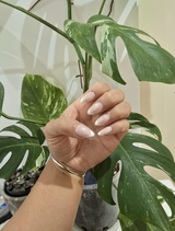 Ngoc L. review photo