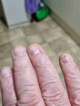 Garry H. review photo