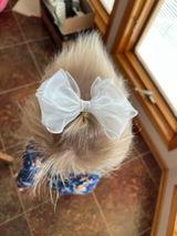 Marianna S review photo
