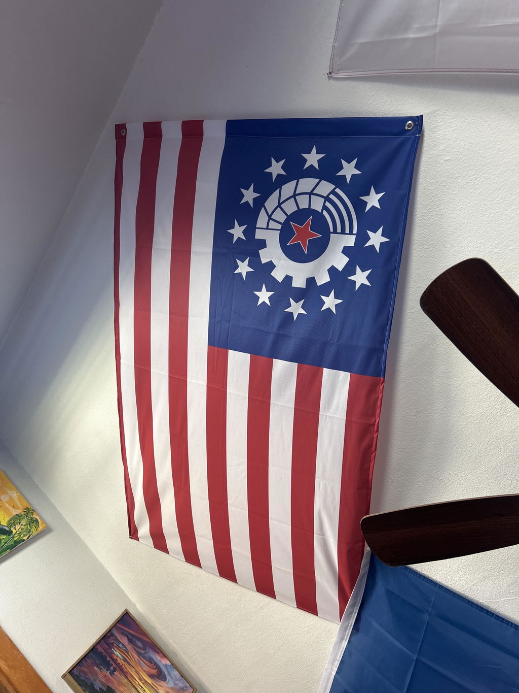 Radical Socialist USA Flag (Single-Sided)