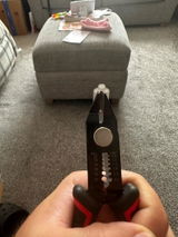 Steven P. review photo