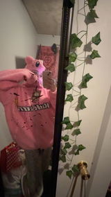 Kaylee Salazar review photo