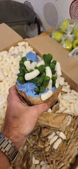 Martins Elsts review photo