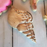 Cowtown Cookie review photo